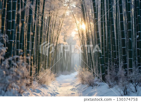 Frost-Covered Bamboo Stalks in Snowy Landscape 130374758