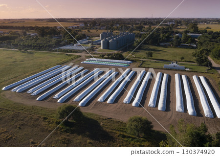 Silo bag filled with soy beans, La Pampa Province, Patagonia, Argentina. Silo bag filled with soy beans, La Pampa Province, Patagonia, Argentina. 130374920