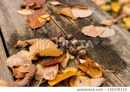 長椅上的落葉和橡子 130376110