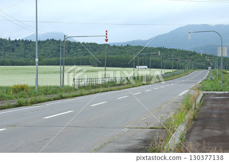 盛開的蕎麥田 - 日本最大的蕎麥田 - 風景小路，幌加內町 130377138