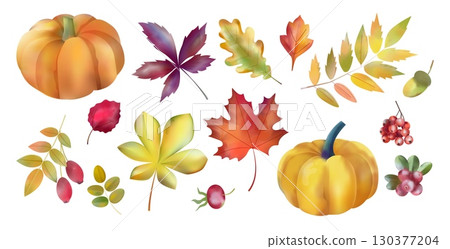 Autumn leaves. Pumpkin harvest. Watercolor fall leaf. Botanical maple tree foliage. Floral Oak acorn. Orange red and brown dry flora. Autumnal season. Vector isolated drawing elements set 130377204