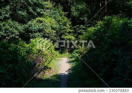 A road surrounded by green A road surrounded by green 130378883