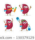 Healthy spleen cartoon characters collection on isolated white background . Vector . 130379129