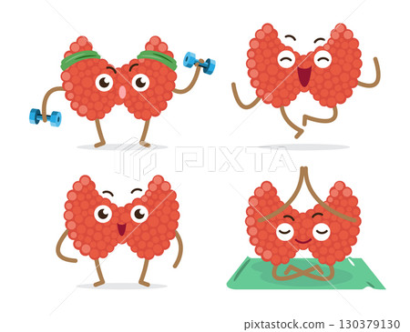 Healthy thyroid gland cartoon characters collection on isolated white background . Vector . Healthy thyroid gland cartoon characters collection on isolated white background . Vector . 130379130