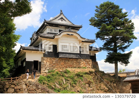 Bitchu Matsuyama Castle Bitchu Matsuyama Castle 130379720