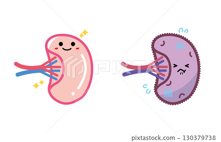 Human organ character healthy and unhealthy spleen set 130379738