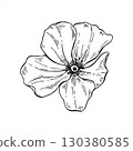 Monochrome minimalistic blooming flower without stem vector illustration. Top view. Poppy or rosehip flower head outline drawing. Black etching of wildflower mallow for invitation, greeting cards 130380585