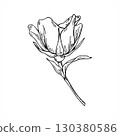 Monochrome vector outline drawing of blooming rosehip flower on stem. Side view. Rose branch black etch for herbal product packaging, romantic wedding stationery, vintage holiday design 130380586