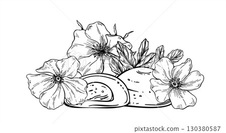 Delicious mochi in various filling among rosehip flowers black and white vector isolated illustration. Floral daifuku or wagashi heap outline drawing. Traditional Asian dessert for packaging, cuisine Delicious mochi in various filling among rosehip flowers black and white vector isolated illustration. Floral daifuku or wagashi heap outline drawing. Traditional Asian dessert for packaging, cuisine 130380587