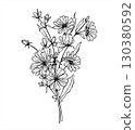 Monochrome chicory plant bouquet line ink illustration. Wild meadow Cichorium flower etching drawing. Delicate hand drawn medicinal herbs for design, coffee drink decor, invitation, greeting cards 130380592