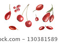 Red berries of different plant species watercolor illustration set on isolated background. Autumn healthy harvest of barberry, hawthorn, rose hip, cherry, pyracantha, cotoneaster clip art. 130381589