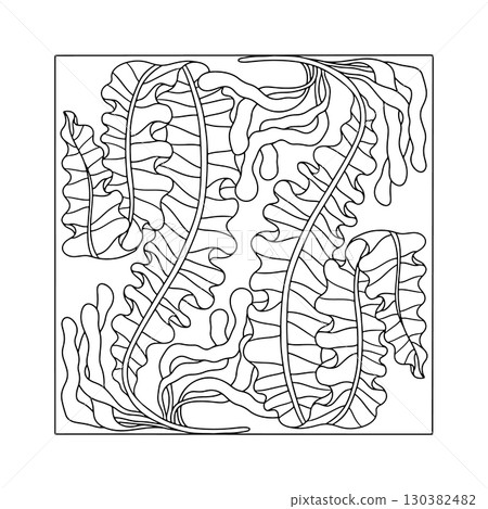 Art nouveau style seaweed hand drawn monochrome easy coloring book page vector illustration Art nouveau style seaweed hand drawn monochrome easy coloring book page vector illustration 130382482