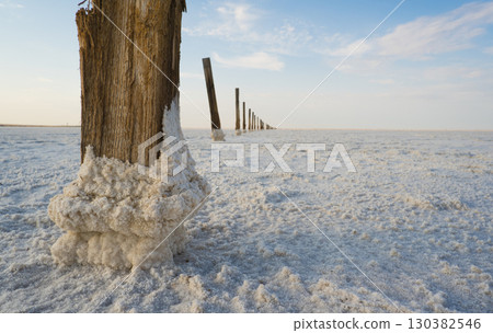 A weathered tree trunk stands in a salt zone surrounded by a white salt crust. The landscape is barren and unforgettable under the glow of the sky 130382546