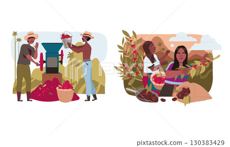 The Art of Coffee Harvesting and Processing in Lush and Vibrant Agricultural Scenes The Art of Coffee Harvesting and Processing in Lush and Vibrant Agricultural Scenes 130383429