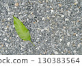 Green Leaf on Gravel Stone Background 130383564