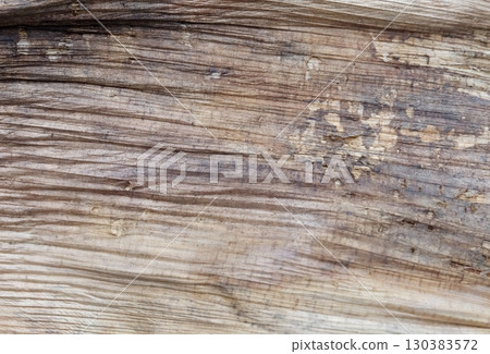 Close Up Textured Background of Dried Banana Bark Close Up Textured Background of Dried Banana Bark 130383572