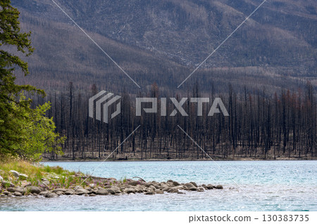 Lake shore among mountain peaks and burnt forest. Lake shore among mountain peaks and burnt forest. 130383735