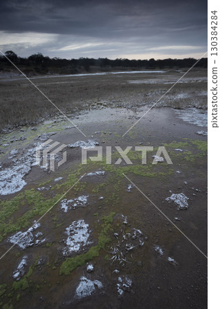 Saltpeter on the floor of a lagoon in a semi desert environment, La Pampa province, Patagonia, Argentina. 130384284
