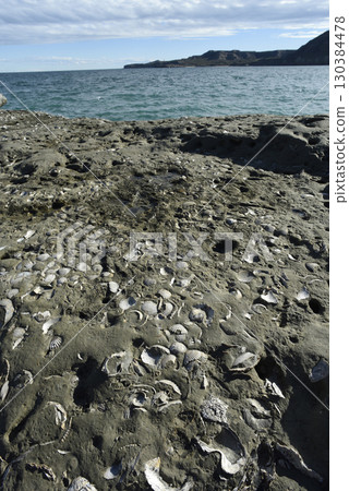 Coastal landscape with cliffs in Peninsula Valdes, World Heritage Site, Patagonia Argentina Coastal landscape with cliffs in Peninsula Valdes, World Heritage Site, Patagonia Argentina 130384478