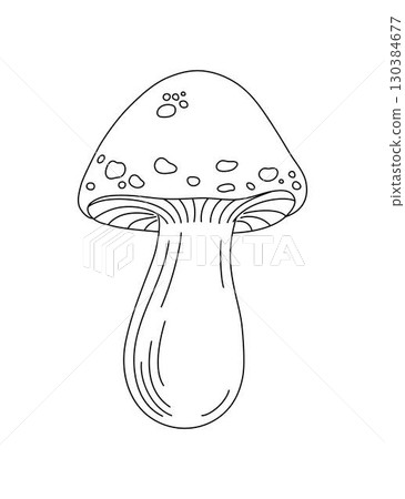 Forest edible mushroom yellow boletus, honey fungus vector illustration, seasonal autumn doodle outline drawing healthy vegetarian diet ingredient for menu design, hand drawn image 130384677