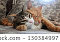 Two cats are laying on a bed, one is orange and the other is gray 130384997