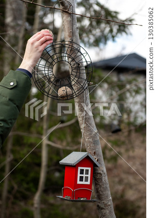 Hand placing bird food ball in garden feeder Hand placing bird food ball in garden feeder 130385062