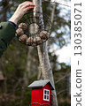Hand placing bird food ball in garden feeder 130385071