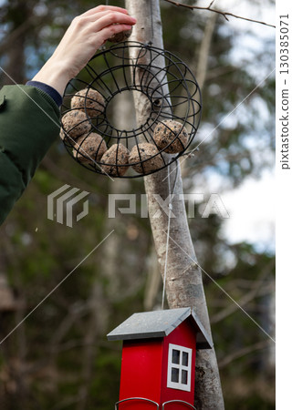 Hand placing bird food ball in garden feeder 130385071