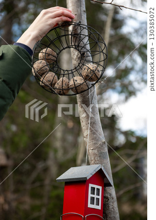Hand placing bird food ball in garden feeder 130385072