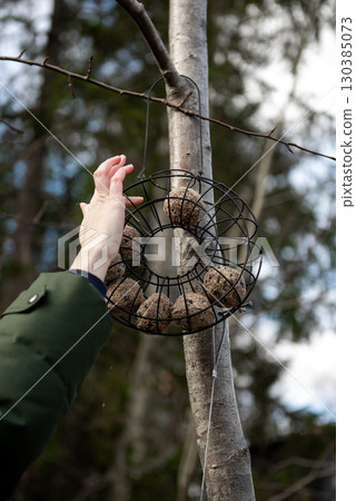Hand placing bird food ball in garden feeder Hand placing bird food ball in garden feeder 130385073