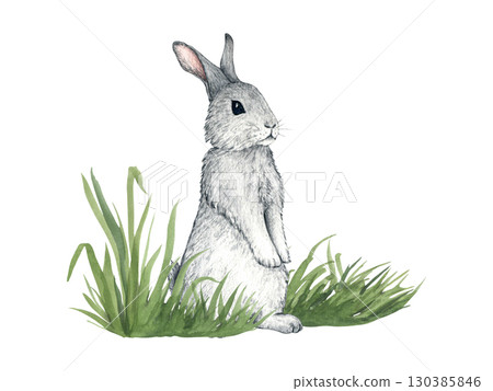 Watercolor illustration of hare in grass. Forest animals isolated on white background. Illustration of Cute rabbit in the grass for kids design, postcards, poster, print. Clip art for nursery design Watercolor illustration of hare in grass. Forest animals isolated on white background. Illustration of Cute rabbit in the grass for kids design, postcards, poster, print. Clip art for nursery design 130385846