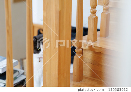 一隻貓偷窺間隙 130385912