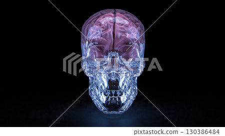 The Crystal Skull and Brain for sci or medical concept 3d Rendering. The Crystal Skull and Brain for sci or medical concept 3d Rendering. 130386484