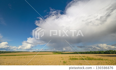 Dramatic and stunningly beautiful Skies and rainbow Over Golden Fields in a breathtaking rural setting Dramatic and stunningly beautiful Skies and rainbow Over Golden Fields in a breathtaking rural setting 130386876