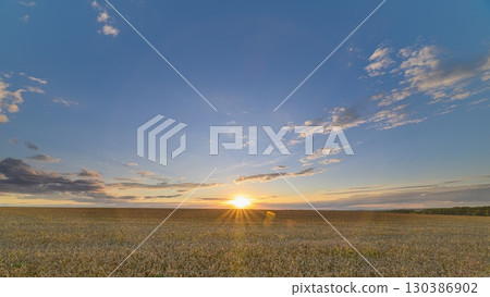 A Serene and Beautiful Sunset Over a Lush wheat Field Captured in Panoramic View A Serene and Beautiful Sunset Over a Lush wheat Field Captured in Panoramic View 130386902
