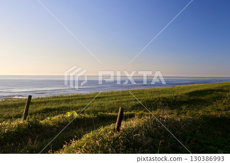 Grassland illuminated by the morning sun 130386993