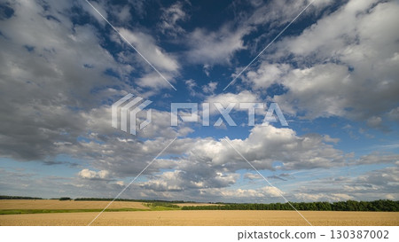 A Stunningly Beautiful Cloudy Sky Enveloping the Lush Golden Fields Stretching into the Distance 130387002
