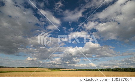 A Beautiful and Scenic Sky Over Lush and Golden Fields During the Warmth of the Summer Season A Beautiful and Scenic Sky Over Lush and Golden Fields During the Warmth of the Summer Season 130387004