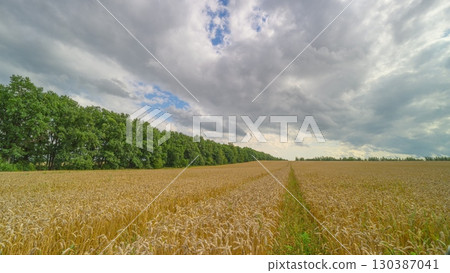 A scenic view of lush green fields under cloudy skies, ideal for photography enthusiasts A scenic view of lush green fields under cloudy skies, ideal for photography enthusiasts 130387041