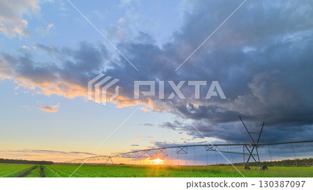 A stunning sunset paints the agricultural fields with vibrant colors beneath dramatic clouds 130387097