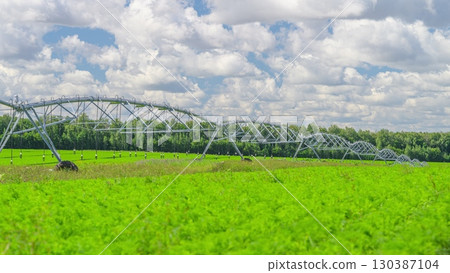The Modern Irrigation System Operates Efficiently Over a Lush Green Agricultural Field 130387104