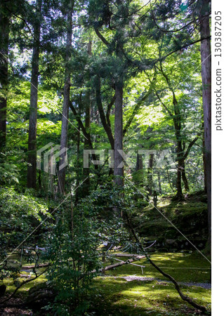 Heizenji寺白山神社 Heizenji寺白山神社 130387205