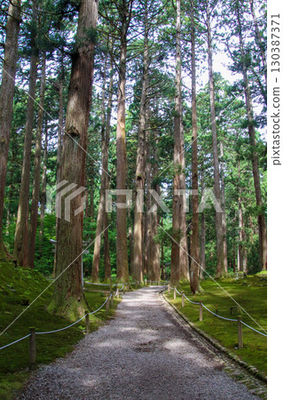 Heizenji寺白山神社 Heizenji寺白山神社 130387371