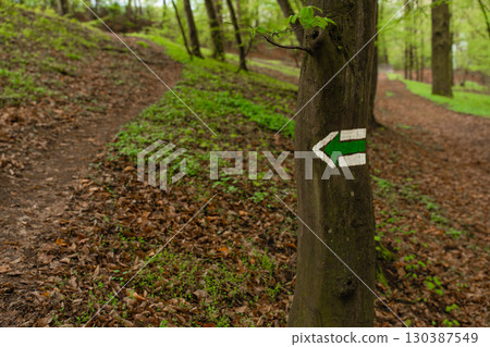 Czech forest trail with green hiking mark on tree trunk - directional arrow sign in spring woodland 130387549