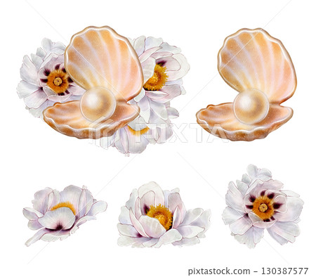 Set of seashell with pearl and white peony Set of seashell with pearl and white peony 130387577