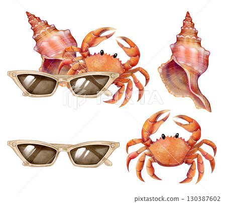 Crab shell sunglasses set 130387602