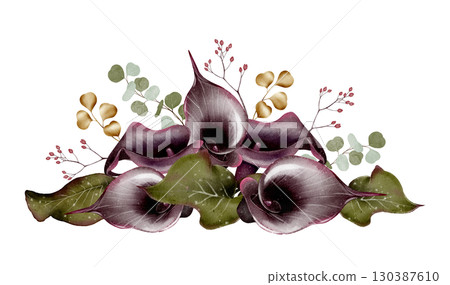 Dark calla lily floral arrangement illustration Dark calla lily floral arrangement illustration 130387610