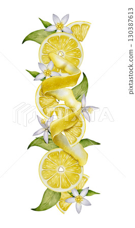 Lemon vertical composition with peel Lemon vertical composition with peel 130387613