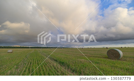 A Serene Agricultural Landscape Awash Under Dynamic and EverChanging Skies All Around 130387779