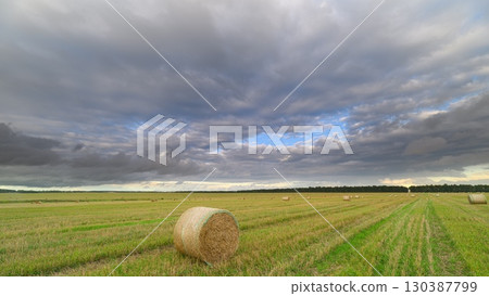 Scenic and Vibrant Field Filled with Hay Bales Set Beneath a Dramatic and Beautiful Sky Scenic and Vibrant Field Filled with Hay Bales Set Beneath a Dramatic and Beautiful Sky 130387799